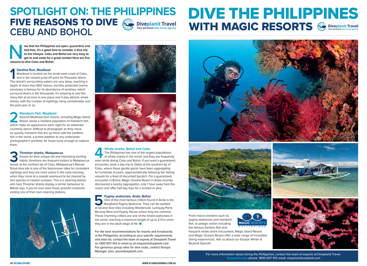 5 reasons to dive in Cebu & Bohol
